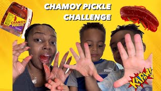 Chamoy Pickle Challenge…we didn’t like it 😝 [upl. by Aynad]