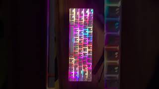 Potronics hydra keyboard mechanical keyboards shorts new [upl. by Poole457]