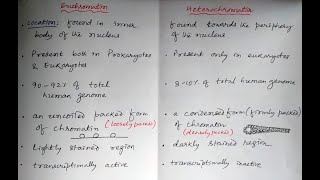 Euchromatin Vs Heterochomatin pharmacology cellbiology biology [upl. by Hamian]