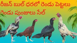 sale తక్కువ ధరలో సెల్edit బాపట్ల శ్రీనివాస్ రాజు videoviral 9948195730 [upl. by Stranger]