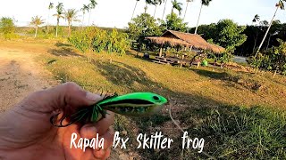 ตี​ปลา​ด้วยเหยื่อ​กบกระโดด​ Rapala​ bx​ skitter​ frog​ [upl. by Oraneg]