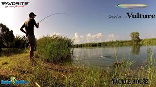 Tackle House Resistance Vulture  Seabass Live Strike [upl. by Killarney973]