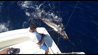 LA PESCA DEL MARLIN AZUL EN LANZAROTE [upl. by Daugherty]