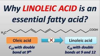 Why Linoleic acid is an essential fatty acid [upl. by Neehsuan]