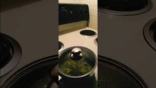 Another cooking video BROWN RICE amp KALE WITH ONIONS 🍚 [upl. by Binette455]