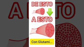 PARA que SIRVE la GLUTAMINA  Lo que DEBES SABER de la GLUTAMINA nutratoont shorts glutamine [upl. by Assiled]