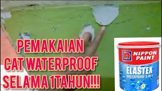 SETELAH 1 TAHUN PAKAI CAT WATERPROOF ELASTEX 3IN1 UNTUK DINSING RUANG TAMU [upl. by Anhavas]