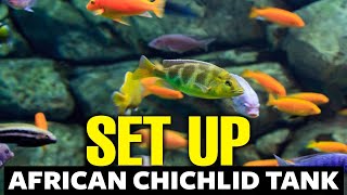 How To Setup An African Cichlid Tank 🐟 [upl. by Ramiah]