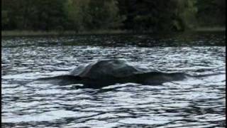 quotdas wunder von loch nessquot trailer [upl. by Melba]