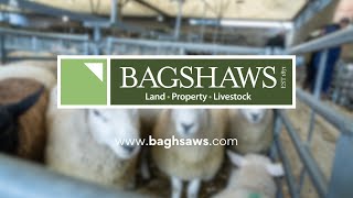 Bagshaws Livestock Sales [upl. by Cooperman]