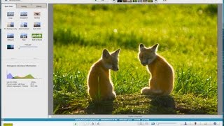 Google Picasa Free Photo Editing Program Tutorial [upl. by Zurheide]