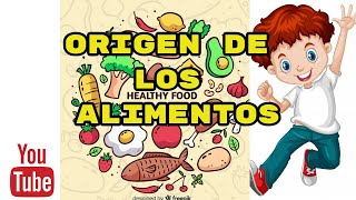 ALIMENTOS DE ORIGEN MINERAL [upl. by Niuqaoj]