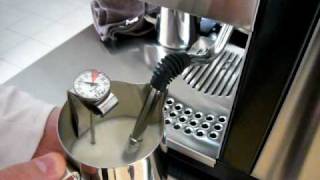 Frothing milk with Rancilio Silvia 2009 [upl. by Rebah501]