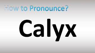 How to Pronounce Calyx [upl. by Aitnyc60]