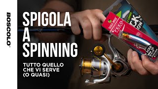 SPIGOLA A SPINNING  Tutto quello che vi serve o quasi [upl. by Sorgalim]