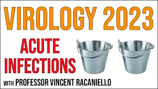 Virology Lectures 2023 16 Acute infections [upl. by Still999]