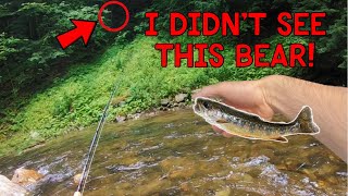 BEAR SCARE While Brook Trout Fishing in Vermont [upl. by Darsie172]