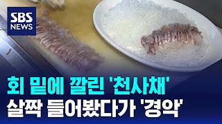 회 밑에 깔린 천사채살짝 들어봤다가 경악  SBS  오클릭 [upl. by Hadden17]