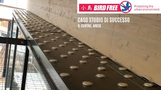 Caso di successo Birdfree Il Centro Arese [upl. by Farmer]