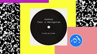 Seekae  Test amp Recognise Flume Rework Official Audio [upl. by Ilana]