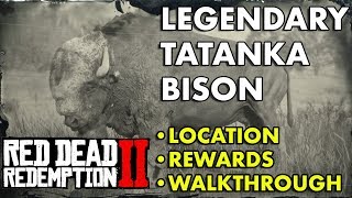 Red Dead Redemption 2  Legendary Tatanka Bison Location Rewards Walkthrough [upl. by Rey]