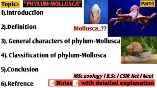 Phylum molluscaphylum mollusca general characteristic and classification [upl. by Yelra]