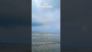 VARSOLI BEACH  16 AUGUST  ALIBAG  MAHARASHTRA shorts varsolibeach alibag explore [upl. by Nosnevets]