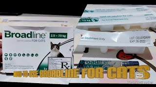 How to Use Broadline for Cats  Anti Flea Ticks Mange Tapeworm Lung Worms and Heart Worm [upl. by Skelly]