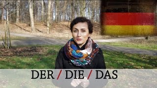 Bestimmter Artikel DER  DIE  DAS  wann benutze ich was Deutsch lernen Hannover learn german [upl. by Ettelohcin181]