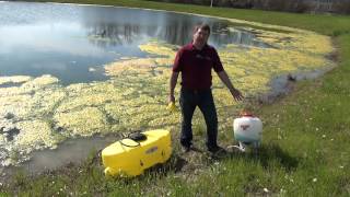 Controlling Algae in Farm Ponds [upl. by Tuppeny]