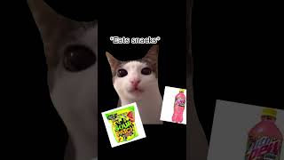 Me making a video in cat form [upl. by Yrellam]