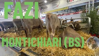 SPECIALE 🐄🐂FAZI🐂🐄 Fiera Agricola Zootecnia Italiana Montichiari BS [upl. by Anelagna]