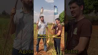 80 graus na sombra 🤣🤣🤣primosagro agronomia viral produtorrural agro seuduardo agronomo [upl. by Cletus]