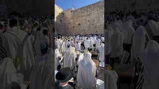 Birchat Cohanim at the Kotel [upl. by Hcirdla18]