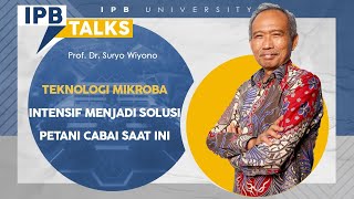 IPB Talks Prof Dr Suryo Wiyono Ciptakan Teknologi Mikroba Intensif untuk Budidaya Cabai [upl. by Marilou]