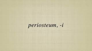 periosteum i [upl. by Nixie]