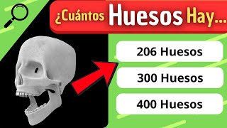 ¿Cuánto Conoces del quotCUERPO HUMANOquot 🤓🤔 Test sobre el cuerpo humano ⬅️ [upl. by Florella]