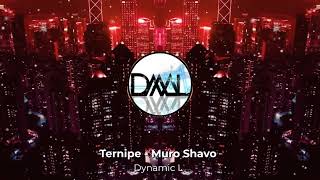 Ternipe  Muro Shavo Dynamic L [upl. by Ahsaekal267]