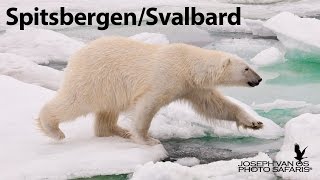 SpitsbergenSvalbard Photo Tour [upl. by Nolram]