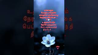 Kuyil Paatu IlaiyaraajaSwarnalatha combo’s hits kuttypoobluebg AVM007 [upl. by Thgiled]