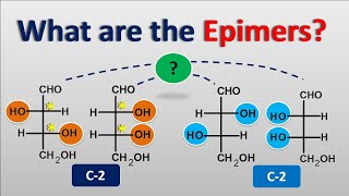 Epimers and Epimerization [upl. by Yelsa425]