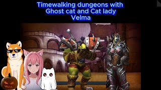 Timewalking Dungeons with best cat lady Velma and chuck norris [upl. by Ominoreg310]