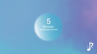 5 Minutes Breathing Exercise [upl. by Magill346]