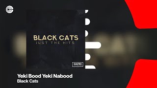 Black Cats  Yeki Bood Yeki Nabood feat Sami Beigi  بلک کتس  یکی بود یکی نبود OFFICIAL TRACK [upl. by Ellehsem976]