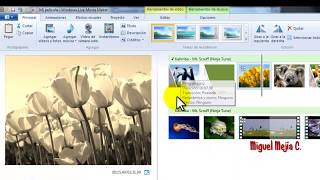 Movie Maker Creación y Edición de Videos tutorial en español [upl. by Aivek]