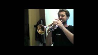 Thomann TR 400 G vs Yamaha YTR 1335 trumpet test [upl. by Sumetra]