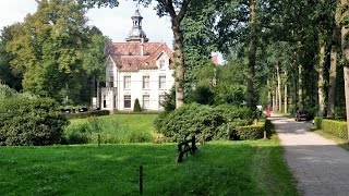 Walkin Holland  Forest amp an Estate north of Putten August 27 2016 [upl. by Willdon231]