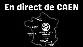 Esprit Dog Solidarité  CAEN [upl. by Nohtiek]