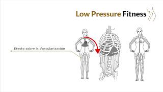 ¿Qué es Low Pressure Fitness [upl. by Strohben545]