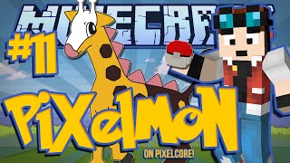 PIDGEOTS PAD  Minecraft Pixelmon Mod w DanTDM 11 [upl. by Doone]